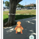 Pokémon Go (Image: Niantic)